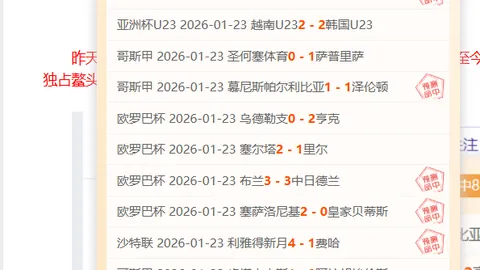 港口情怀，奥斯卡亲晒粉丝视角！揭秘球场瞬间，与你共赏激情赛事！